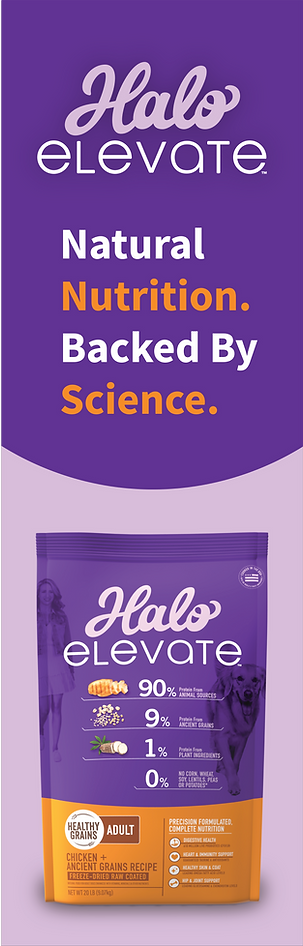 Halo Elevate Vertical Strip.png